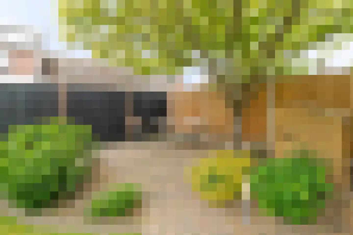 Meidoorn 18 Heino thumbnail 43