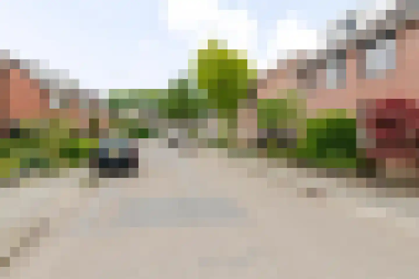 Meidoorn 18 Heino thumbnail 46