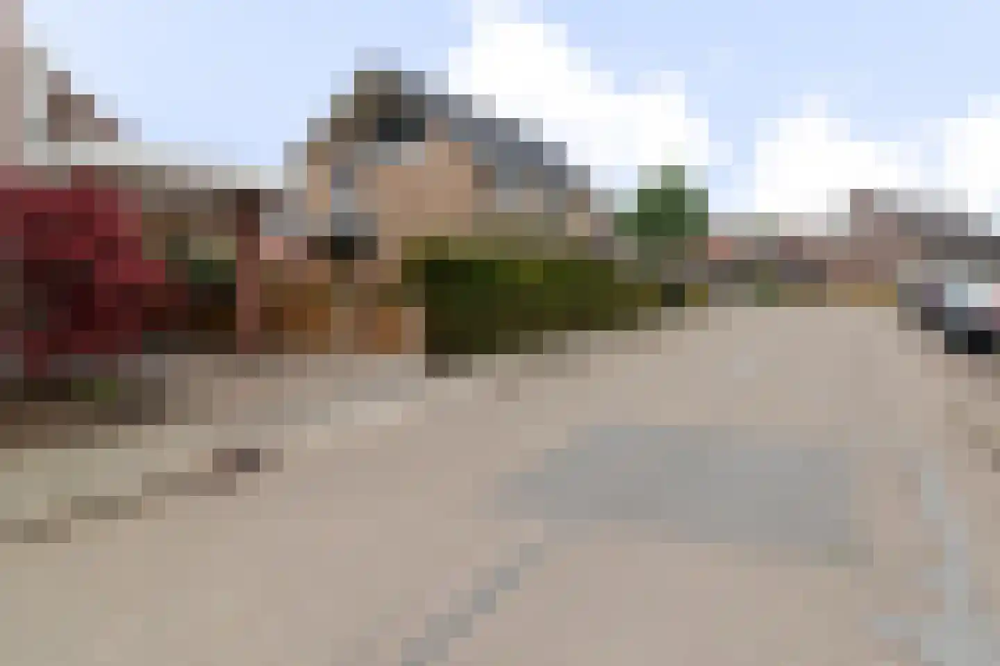 Meidoorn 18 Heino thumbnail 47