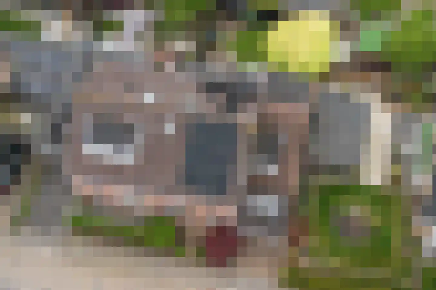 Meidoorn 18 Heino thumbnail 50