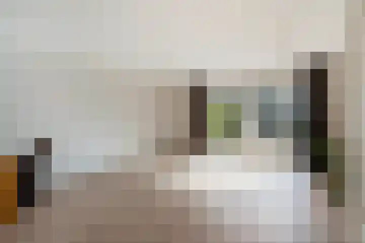 Meidoorn 19 Poortugaal thumbnail 15
