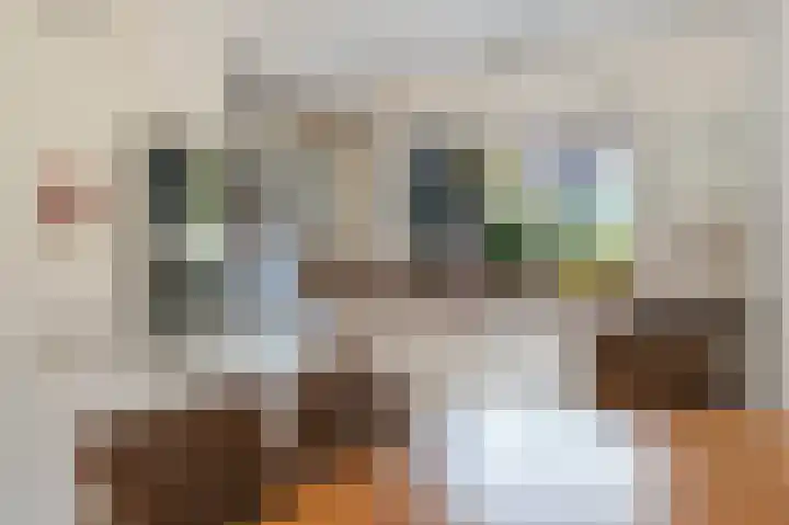 Meidoorn 19 Poortugaal thumbnail 17