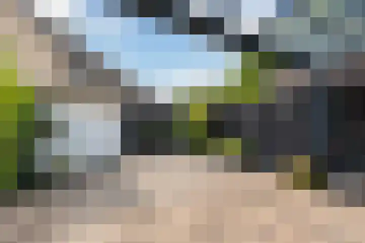 Meidoorn 19 Poortugaal thumbnail 22