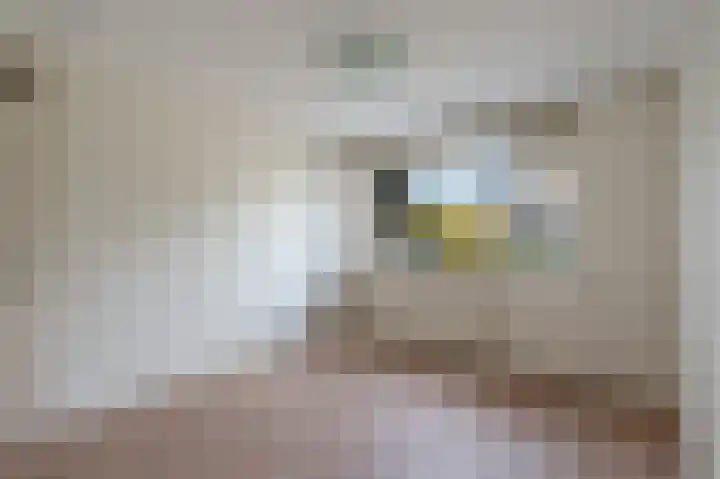 Meidoorn 19 Poortugaal thumbnail 27