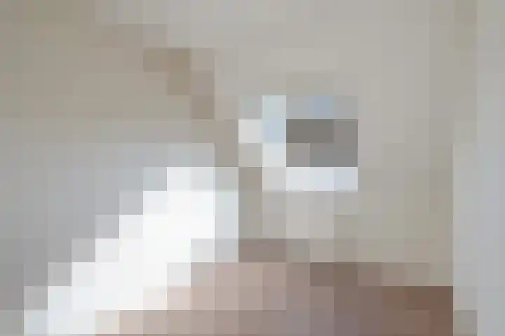 Meidoorn 19 Poortugaal thumbnail 29