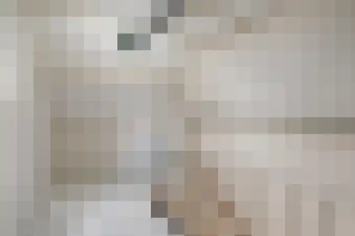 Meidoorn 19 Poortugaal thumbnail 33