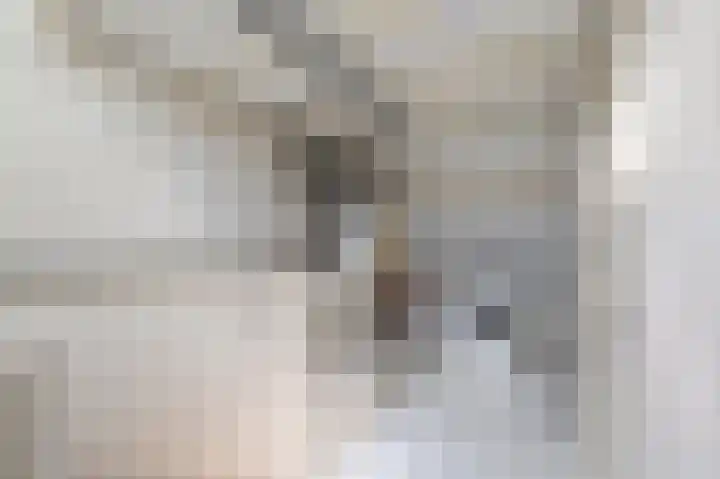 Meidoorn 19 Poortugaal thumbnail 34