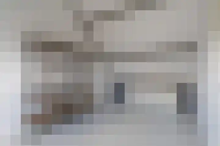 Meidoorn 19 Poortugaal thumbnail 36