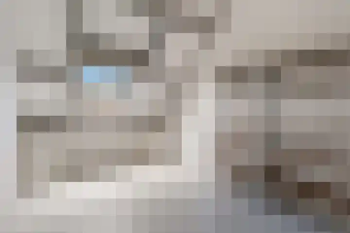 Meidoorn 19 Poortugaal thumbnail 37