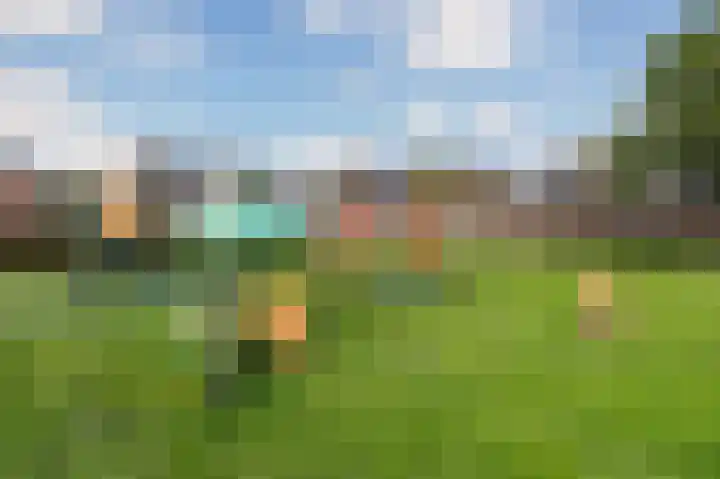 Meidoorn 19 Poortugaal thumbnail 41