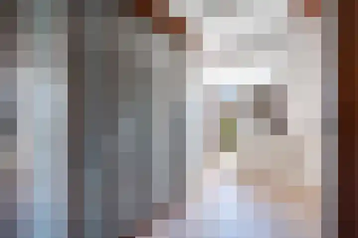 Meidoorn 19 Poortugaal thumbnail 6