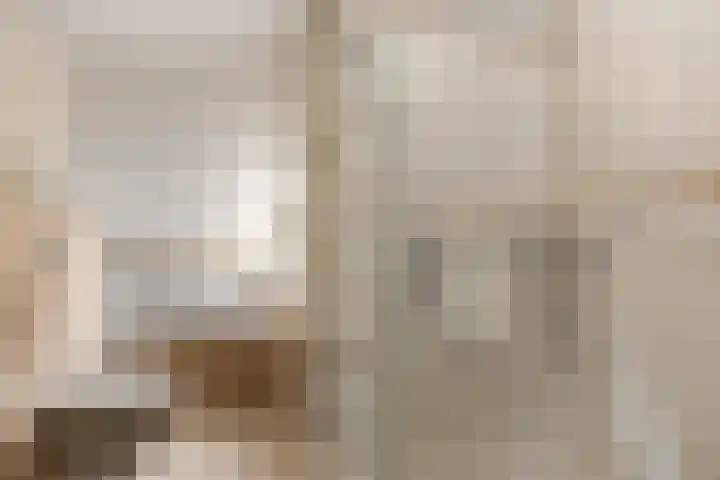 Meidoorn 19 Poortugaal thumbnail 7