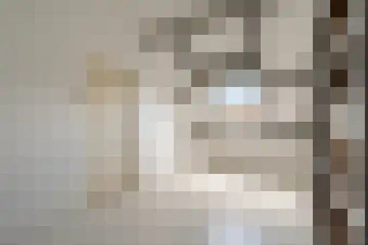 Meidoorn 19 Poortugaal thumbnail 8