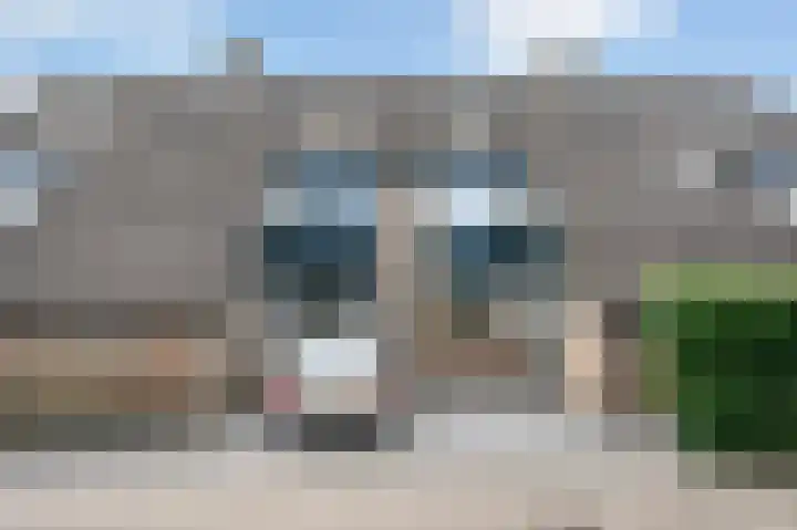 Meidoorn 19 Poortugaal thumbnail 9