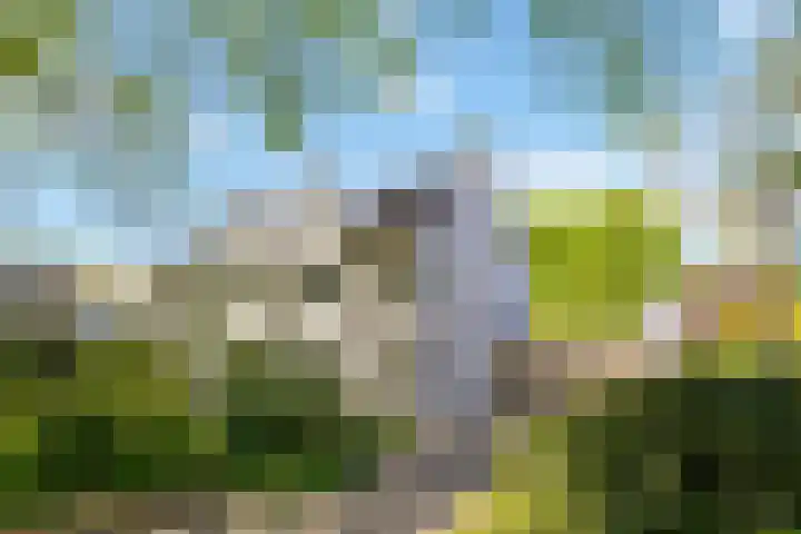 Meidoorn 19 Wijhe