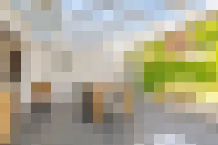 Meidoorn 19 Wijhe thumbnail 11