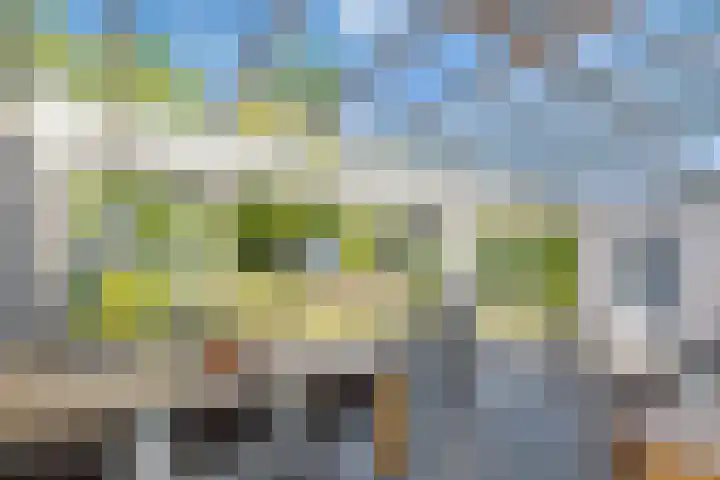Meidoorn 19 Wijhe thumbnail 12
