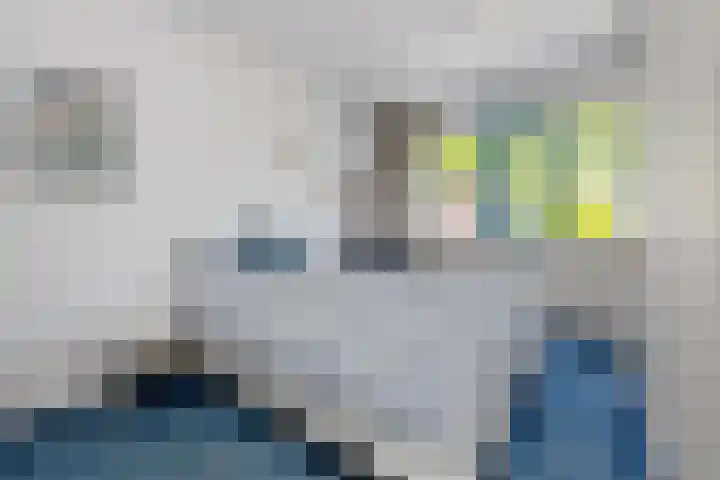 Meidoorn 19 Wijhe thumbnail 15