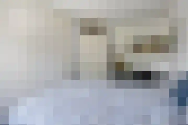 Meidoorn 19 Wijhe thumbnail 16