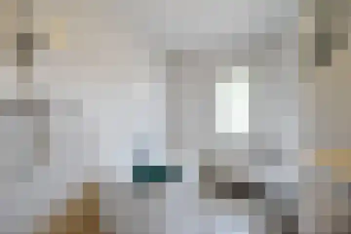 Meidoorn 19 Wijhe thumbnail 19