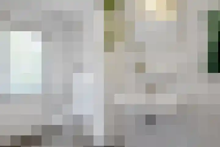 Meidoorn 19 Wijhe thumbnail 20