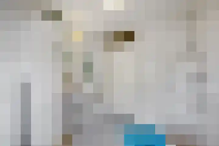 Meidoorn 19 Wijhe thumbnail 21