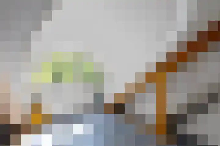 Meidoorn 19 Wijhe thumbnail 23