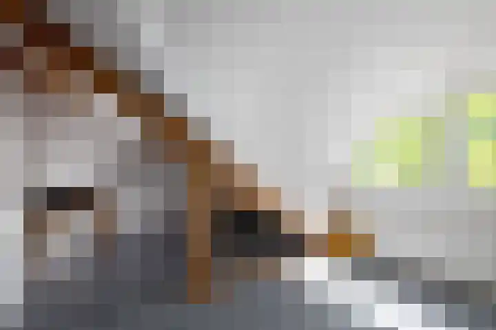 Meidoorn 19 Wijhe thumbnail 24