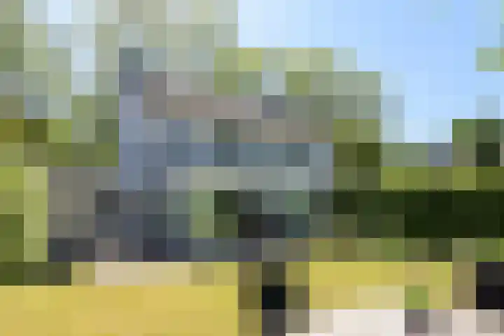 Meidoorn 19 Wijhe thumbnail 27