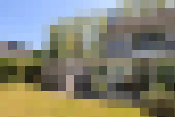 Meidoorn 19 Wijhe thumbnail 28