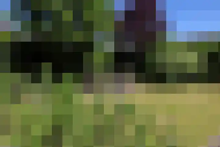 Meidoorn 19 Wijhe thumbnail 29