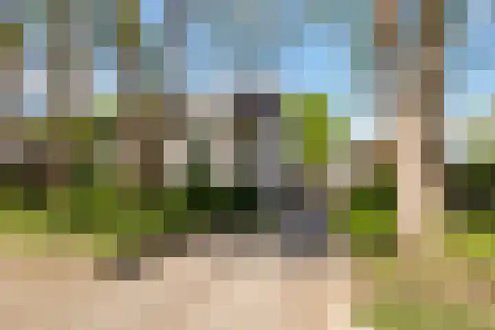 Meidoorn 19 Wijhe foto 3