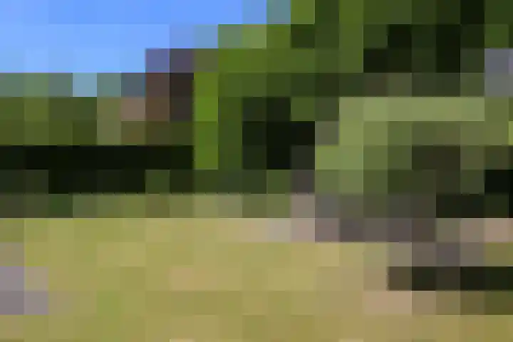 Meidoorn 19 Wijhe thumbnail 30