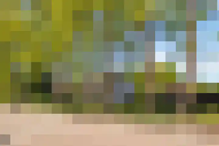 Meidoorn 19 Wijhe thumbnail 31