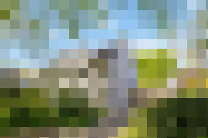 Meidoorn 19 Wijhe thumbnail 35
