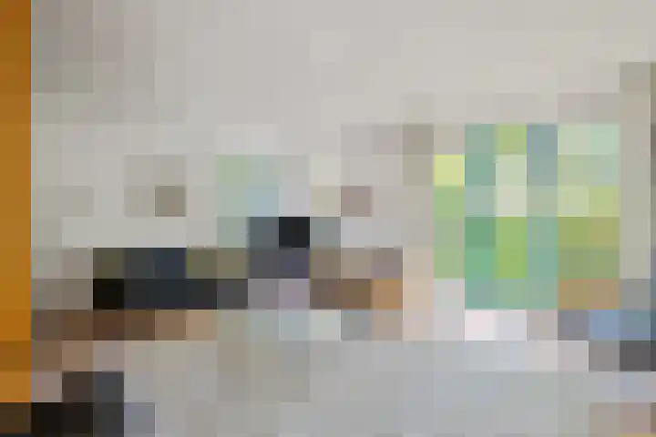 Meidoorn 19 Wijhe thumbnail 5