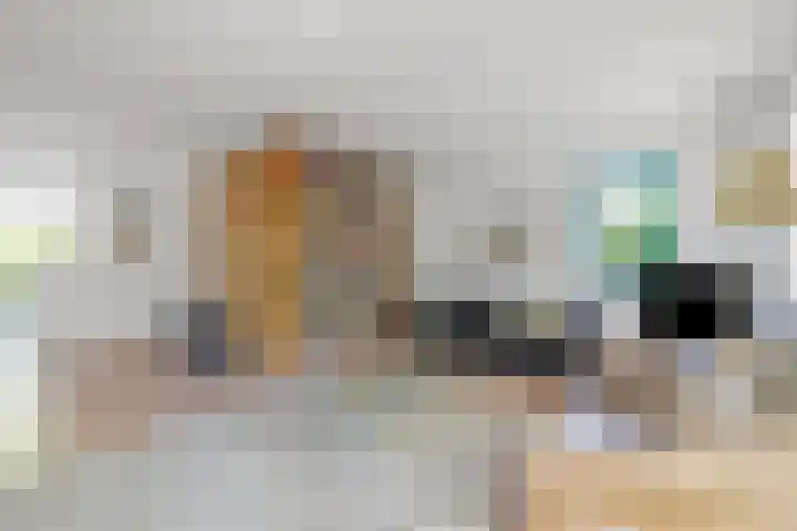 Meidoorn 19 Wijhe thumbnail 8