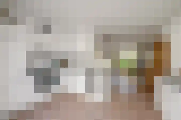 Meidoorn 19 Wijhe thumbnail 9