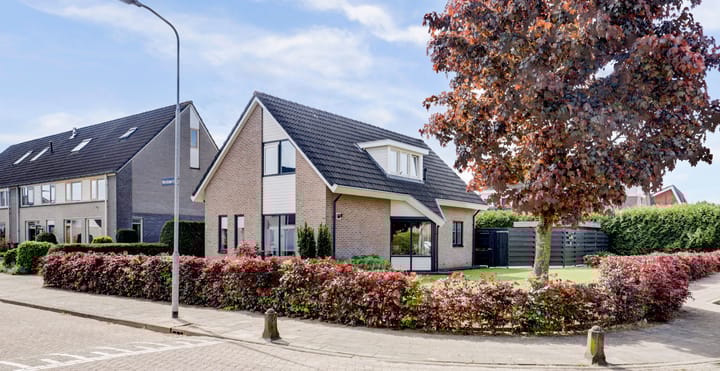 Meidoorn 2 in Wilp foto