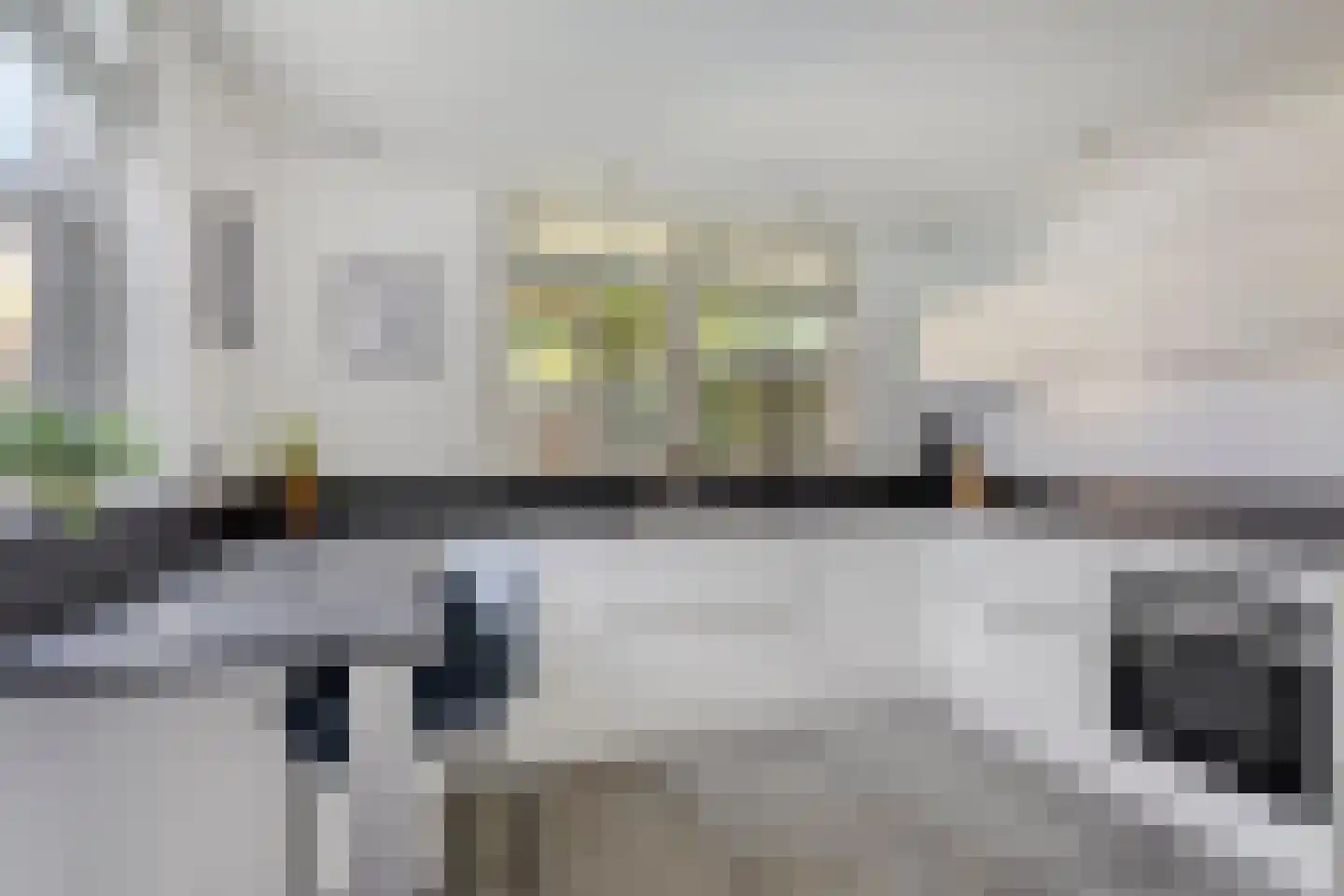 Meidoorn 2 Prinsenbeek thumbnail 10