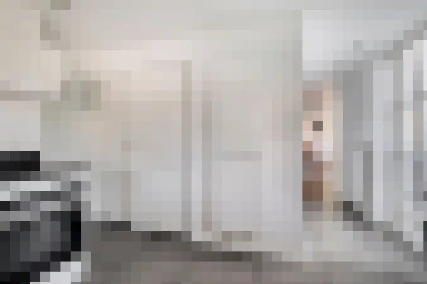 Meidoorn 2 Prinsenbeek thumbnail 12