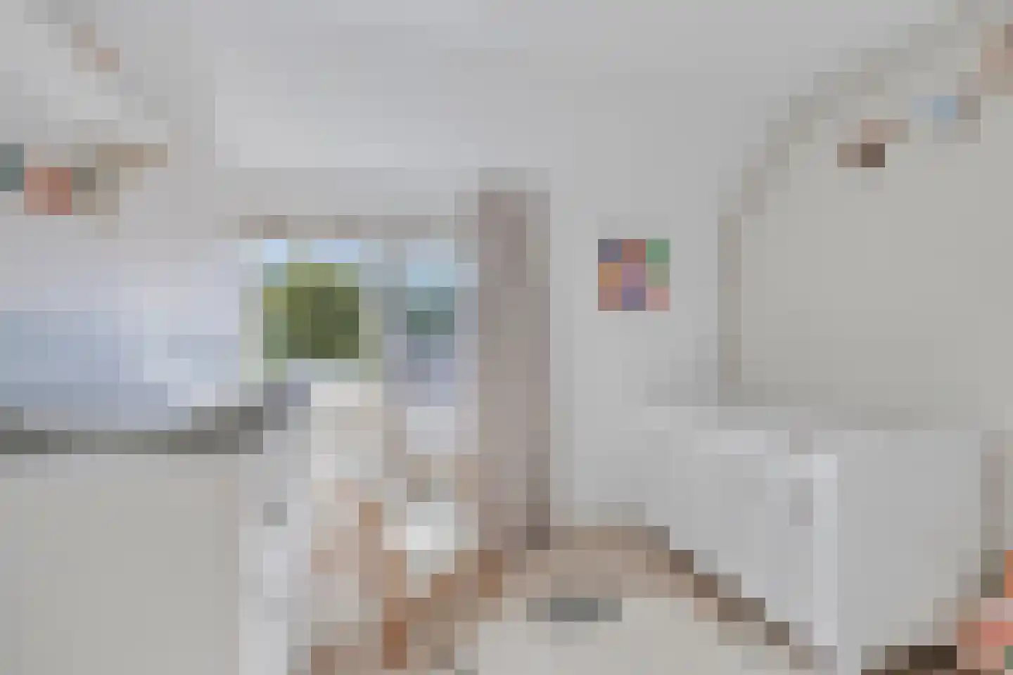 Meidoorn 2 Prinsenbeek thumbnail 16