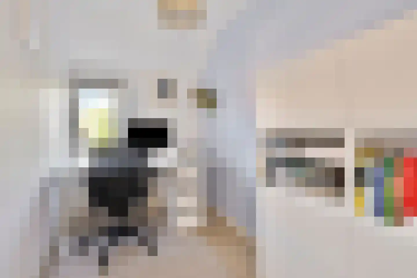 Meidoorn 2 Prinsenbeek thumbnail 18