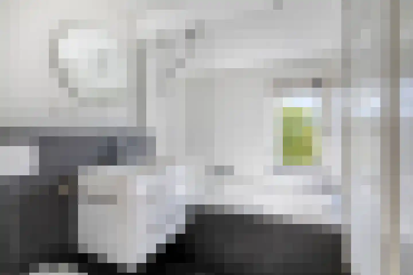 Meidoorn 2 Prinsenbeek thumbnail 19