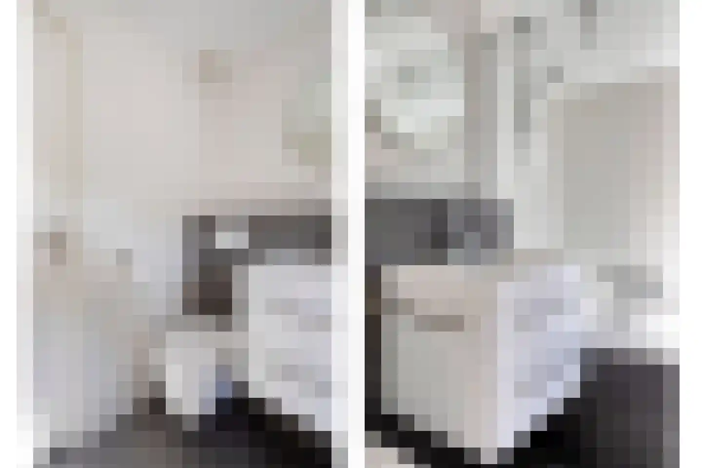 Meidoorn 2 Prinsenbeek thumbnail 20