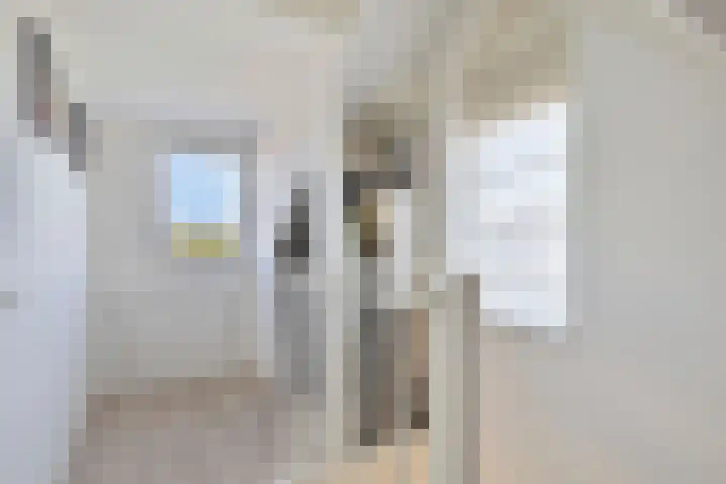 Meidoorn 2 Prinsenbeek thumbnail 21