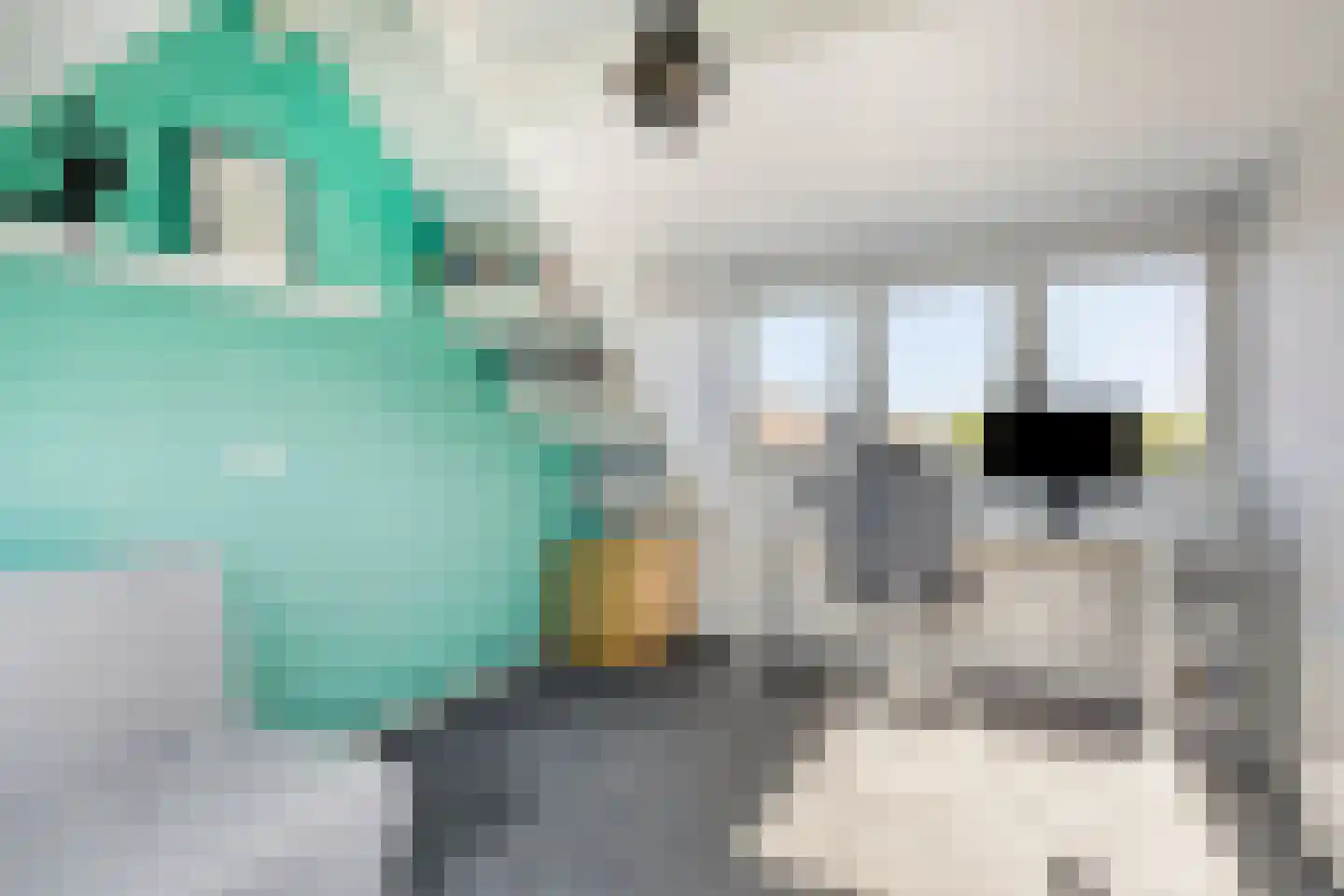 Meidoorn 2 Prinsenbeek thumbnail 22