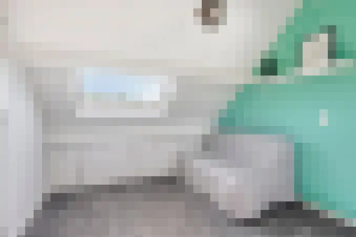 Meidoorn 2 Prinsenbeek thumbnail 23