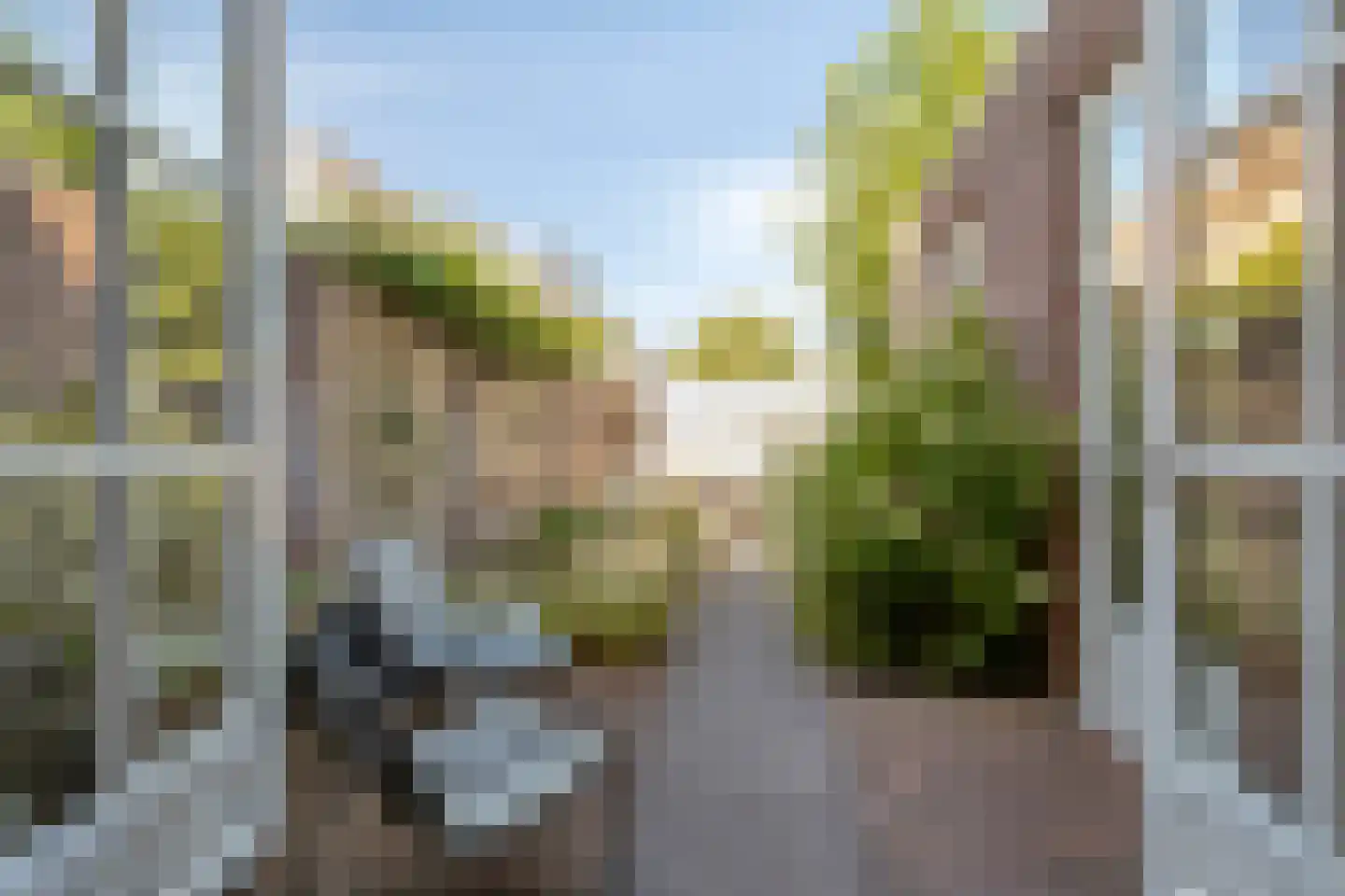 Meidoorn 2 Prinsenbeek thumbnail 24