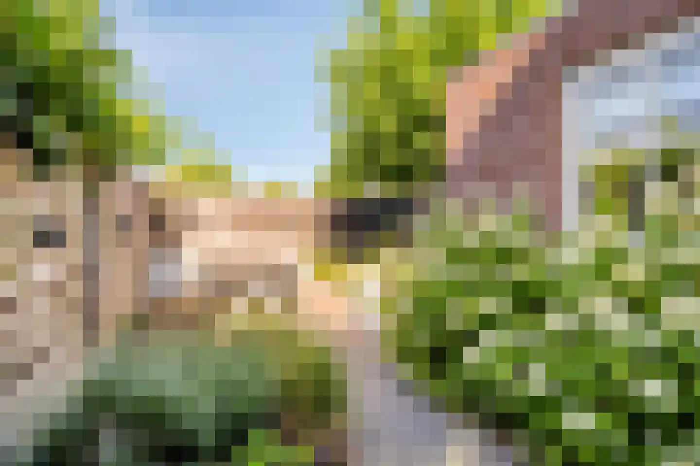 Meidoorn 2 Prinsenbeek thumbnail 25